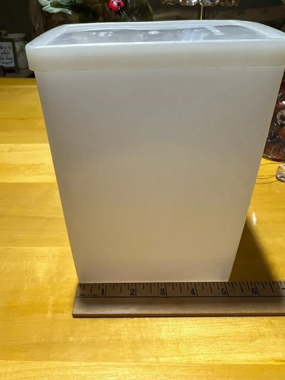 Tupperware Ice Cream Keeper
